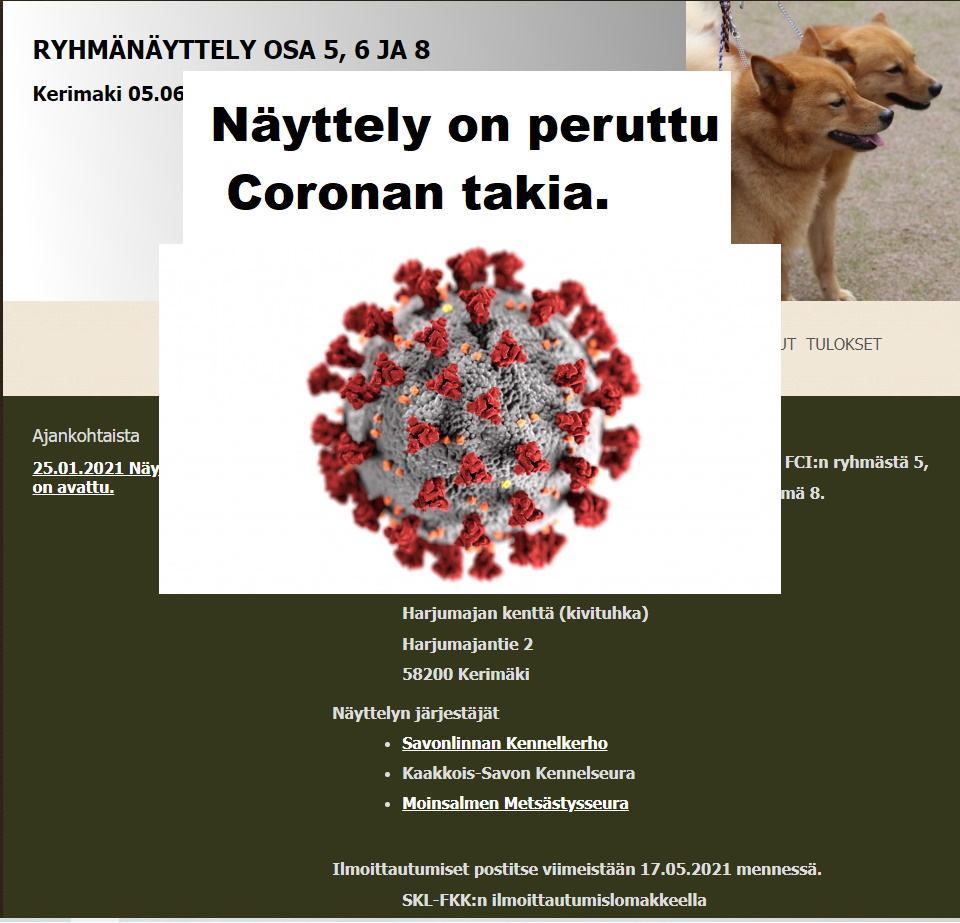 POK kuva